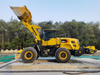 China Construction Machinery 6 Tons Loader for Sale