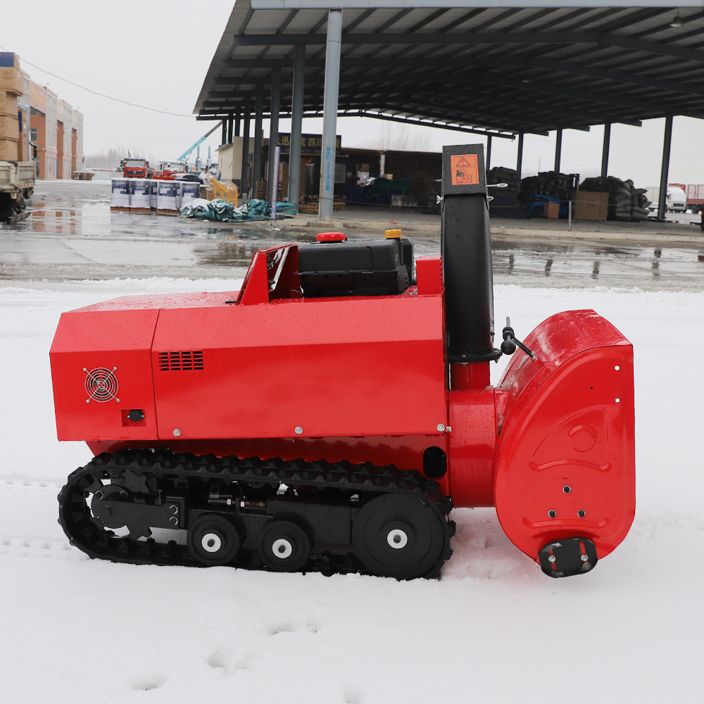 OEM Customization Euro V Engine Remote Control Snow Blower with EPA CE