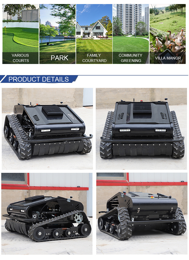 Winter Snow Cleaning Machine Tracked Remote Control Snow Blower