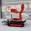 Electric Mini 1t 2t 2 Tonne Carrier Rubber 600kg 800 Kg Tracked Truck Oil Palm Mini Dumper for Farm