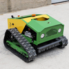 Home Use Mower Remote Control Lawn Mower EPA CE Euro Five Quality