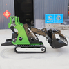 Free Shipping Cheap EPA Engine Wheel Loader Diesel Mini Skid Steer Track Loader with Track