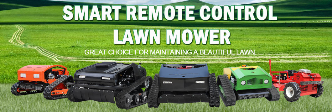 Low Price Zero Turn Lawn Mower Petrol Automatic Cutter RC Lawn Mower Other Farm Agricultural Machines for Sale