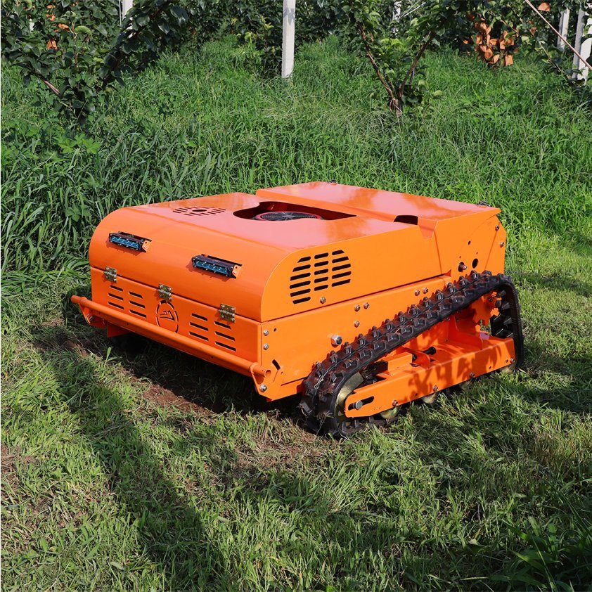 Ig Power Lawn Mower 360 Rotary Grass Garden Ride on Lawn Mower Price