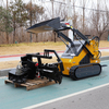 Mini Sikd Loader Stand on Diesel Mini Skid Steer Loader for Landscape and Tree Care