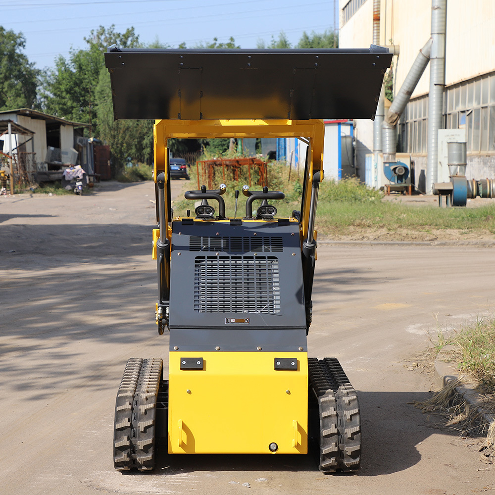 Newest Mini Stand on Skid Steer Meet CE Euro V EPA Steer Loader with Bucket