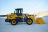 China Factory Customized 3 Ton Loader for Sale at Low Price