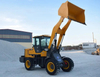 Large New China 3 Ton Wheel Loader for Sale with Low Price