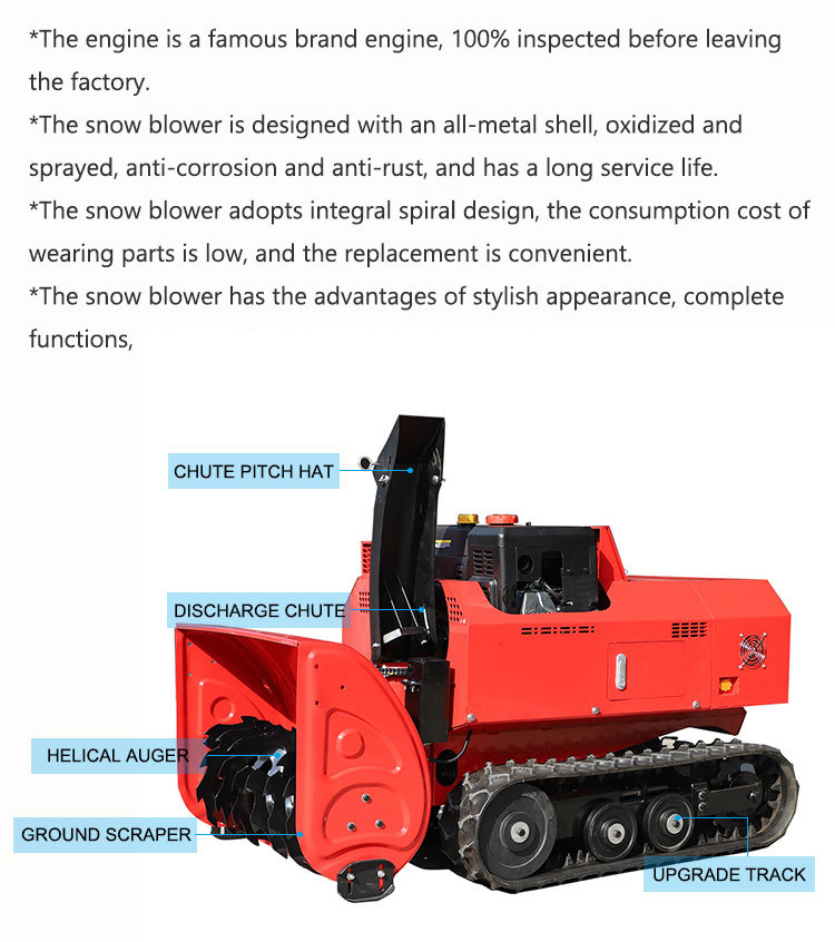 OEM Customization Euro V Engine Remote Control Snow Blower with EPA CE