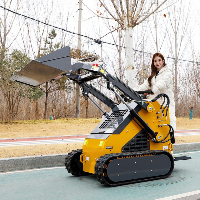 CE Euro5 EPA Small Skid Steer Front Mini Skid Steer Loader
