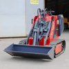 Euro5 EPA Certified Mini Wheel Front Type Skid Steer Loader for Farm Machine with New Engine Pump Motor