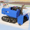 OEM Customization Gasoline Snow Blower Machine for Garden with EPA CE