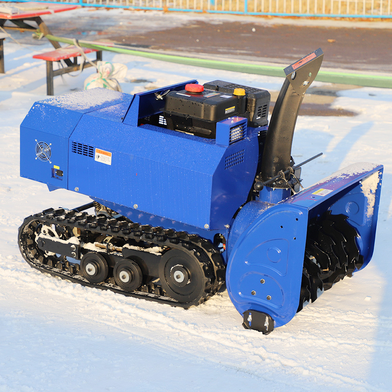 OEM Customization Gasoline Snow Blower Machine for Garden with EPA CE