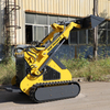 Factory Outlet Mini Digger Mini Skid Steer Loader for Sale Australia with EPA CE