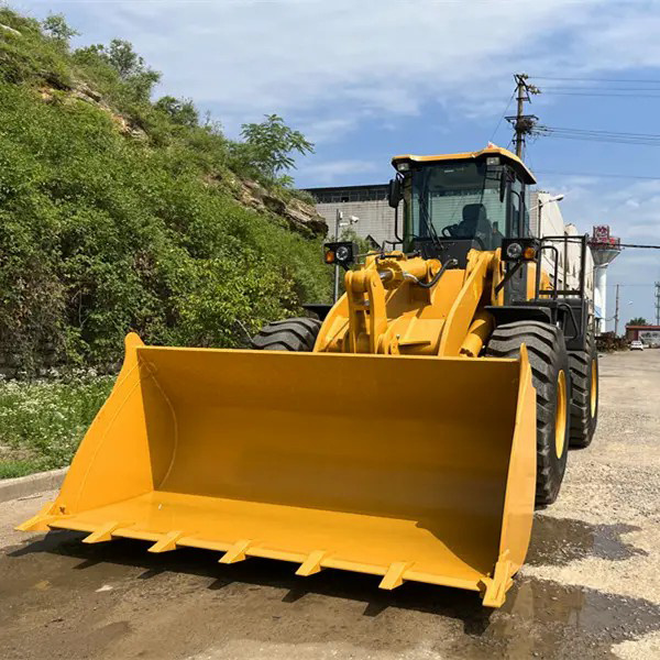 Large New China 3 Ton Wheel Loader for Sale with Low Price