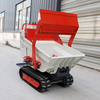 Farms and Construction Works 1.5 T Mini Crawler Dumper Spare Parts New Conditions Crawler Dumper