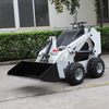 EPA CE Mini Skid Loader Yf360 Yf380 Yf430 Wheel Track Type Skid Loader for Sale