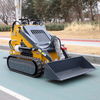 Electric Hydraulic Track Dumper Mini Skid Steer Loader with EPA CE