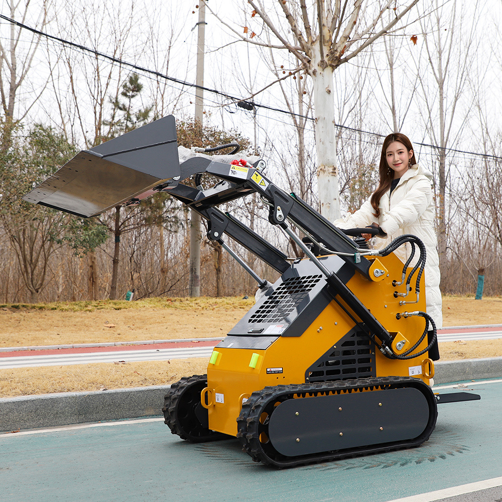 High Quality Good Price EPA Engine Skid Steer Loader with EPA CE