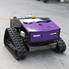 Two Color Lawn Mower RC Gasolene Grass Trimming 500 mm