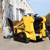 Factory Wholesale High Quality Mini Skid Steer Loader Small Skid Steer Loader with EPA CE