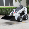 EPA CE Mini Skid Loader Yf360 Yf380 Yf430 Wheel Track Type Skid Loader for Sale