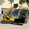 Free Shipping! ! Cheap Diesel Mini Skid Steer Loaders Crawler Wheel Loader with EPA CE