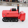 OEM Customization Euro V Engine Remote Control Snow Blower with EPA CE