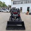 New Mini Wheel Loader Earth-Moving Machinery Skid Steer Loader