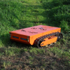 Self Propelled Remote Ride on Lawn Rotary Mower Mowers