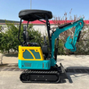 Mini Excavator 1.8 Ton 2 Ton with Forklift for Sale