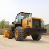 Large New China 5 Ton Wheel Loader for Sale