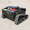 Agriculture Farm Tools Portable Mini Electric Gasoline Lawn Mower OEM Factory