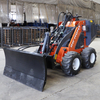 CE Approved Skid Steer China Skidsteer 500kg Steer Loader for Sale