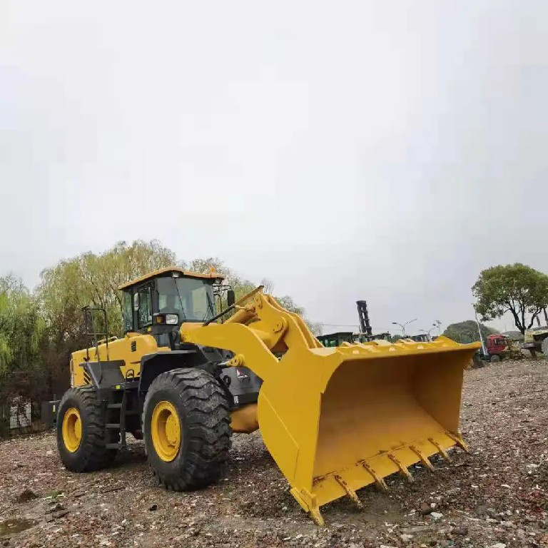 Large China Cost 3 Ton Wheel Loader with Good Service