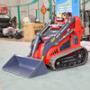 International High Performance Diesel Small Attachments Mini Loader Skid Steer Loader Made in China