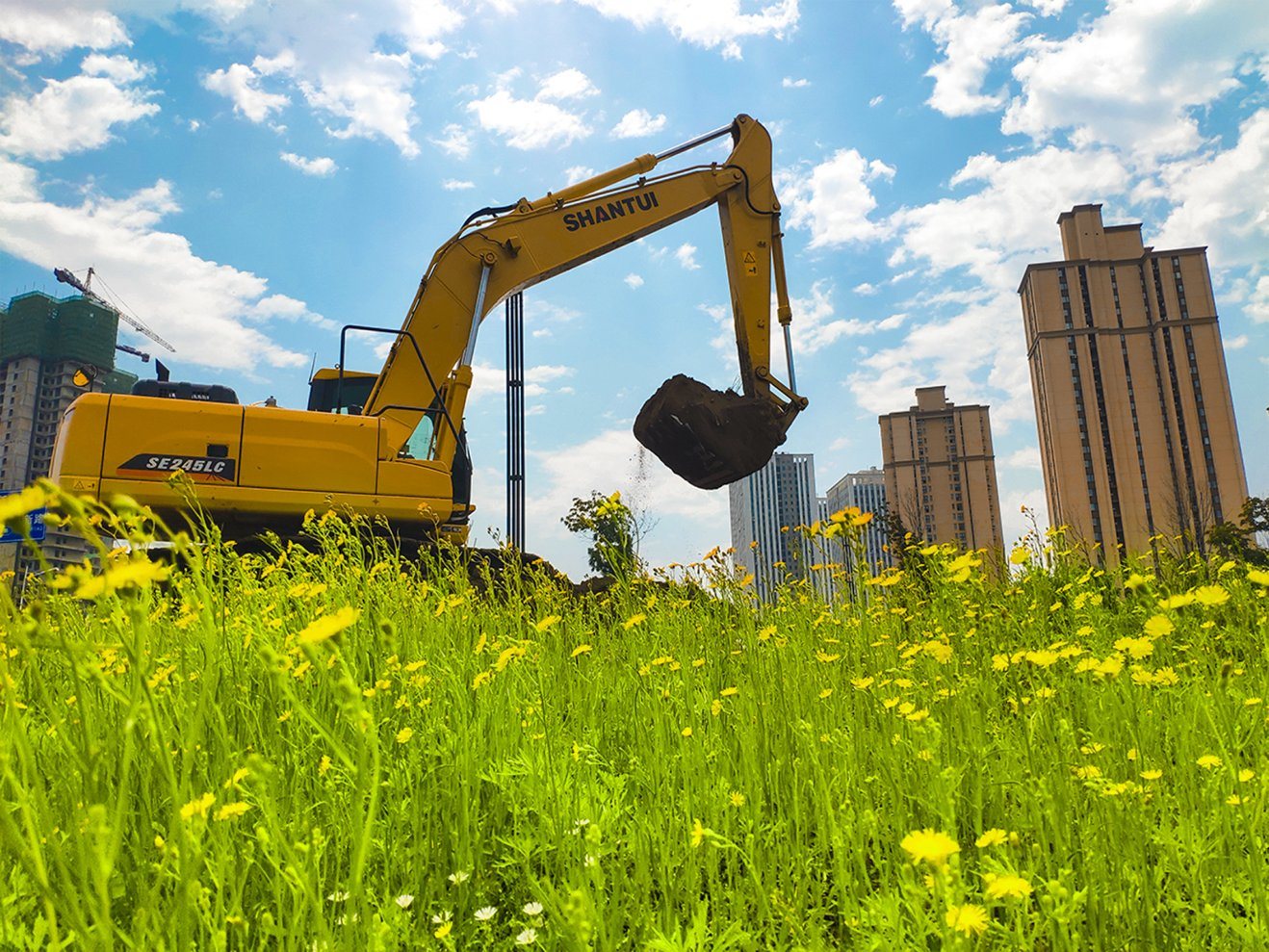 Shantui Factory Supply 24.5 Tons Hydraulic Crawler Excavator for Wholesale Price