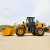 Large China Cost 5 Ton Wheel Loader for Sale with Good Service